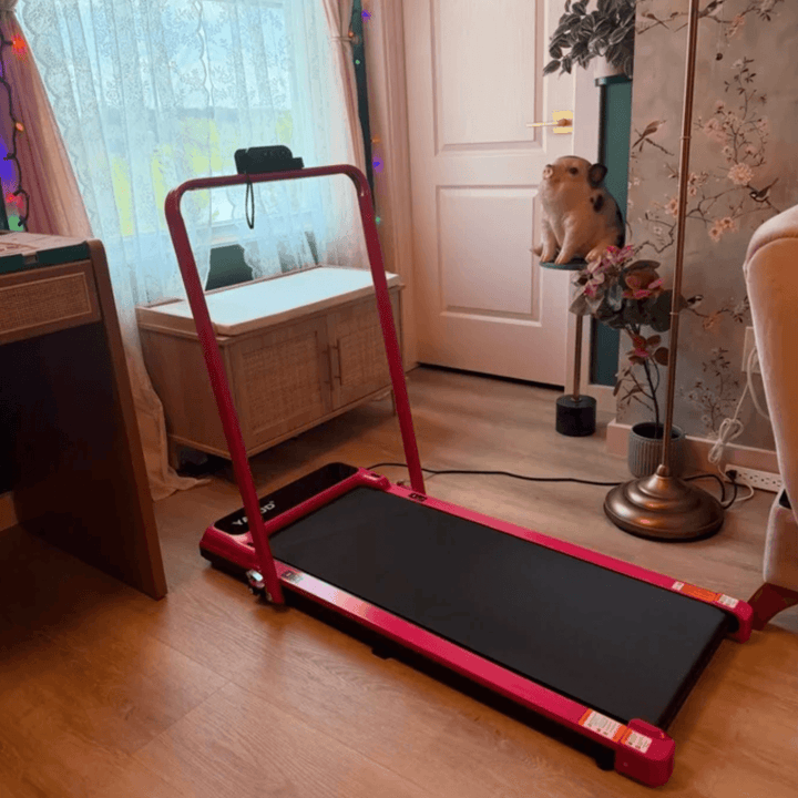 Review by Rebecca B.