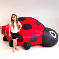 Ladybug